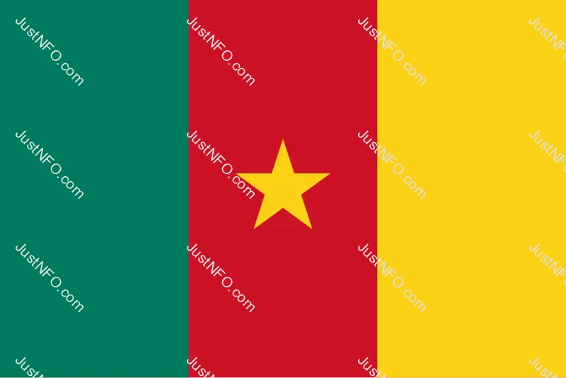 The official flag of Cameroon with three vertical stripes in green, red, and yellow, featuring a golden star symbolizing national unity among its regions