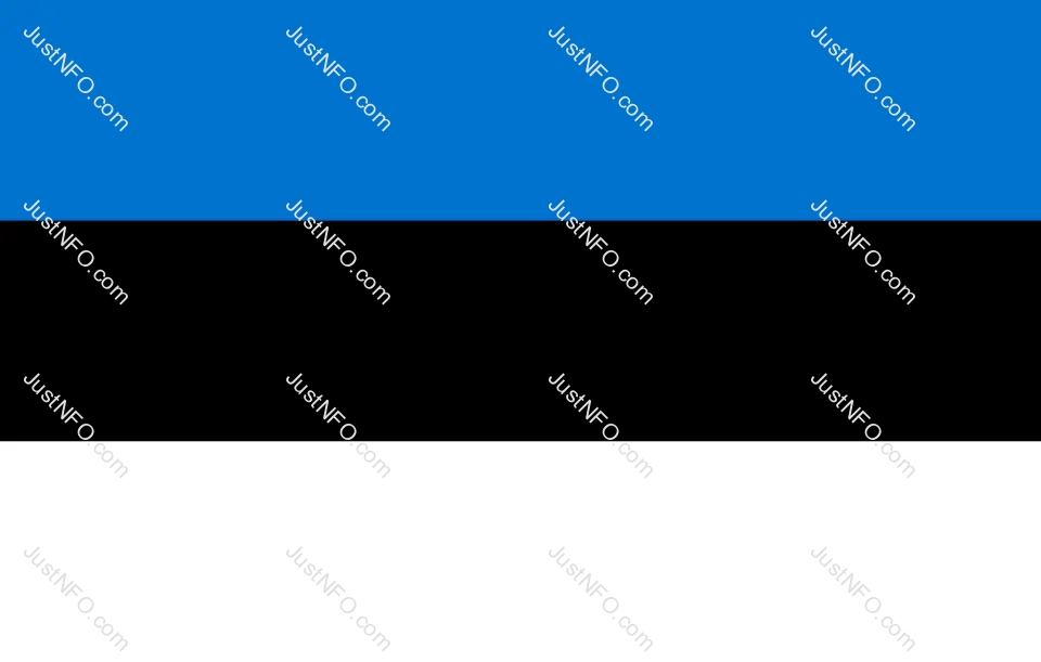 The official flag of Estonia with horizontal stripes of blue, black, and white, symbolizing independence, purity, and national unity