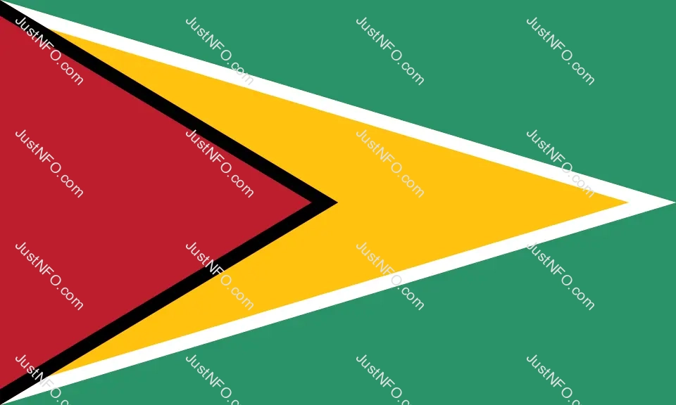 The official flag of Guyana, known as “The Golden Arrowhead,” with a green background for agriculture and forests, a golden arrow for mineral wealth, black and white borders symbolizing endurance and purity, and a red triangle representing zeal and courage